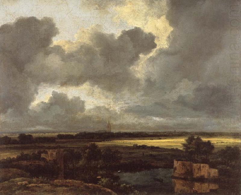 Jacob van Ruisdael An Extensive Landscape with Ruins china oil painting image